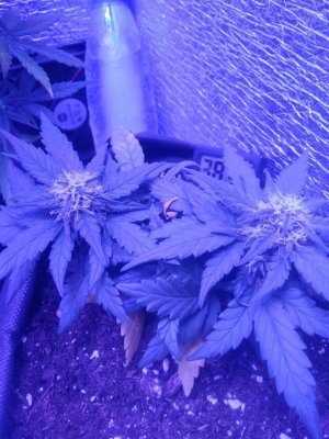 photo_2022-09-03_09-12-55 (4).jpg