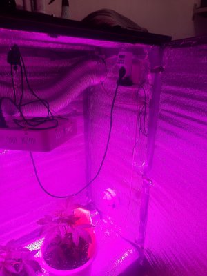 20221002_164718.jpg
