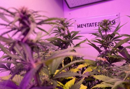 06213351-B372-4F9E-B603-7E5F5146E569.jpeg