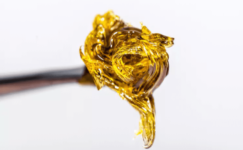 Wax конопли