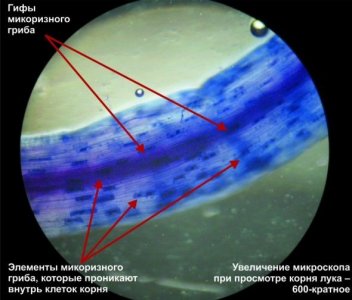 1666093884890.jpeg 1666093884890.jpeg