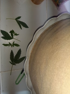 20221121_132856.jpg
