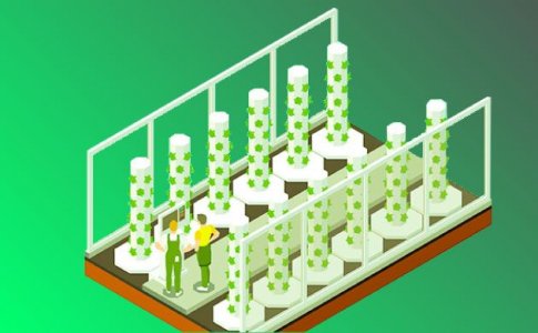 Башенное выращивание