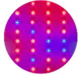 1670856414491.png