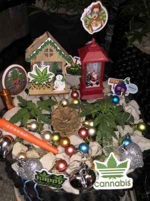 IMG_7365.JPG