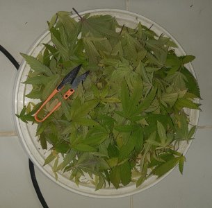20221214_103225.jpg