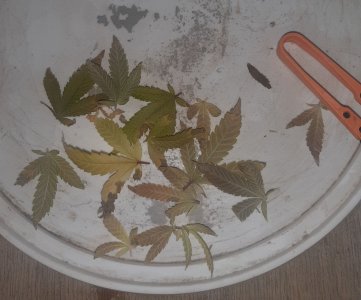 20221216_090023.jpg