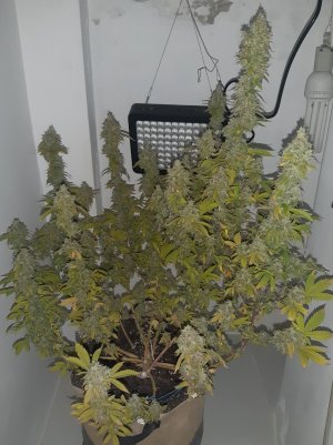 20221216_094553.jpg