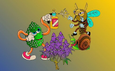 Зачем промывать соцветия