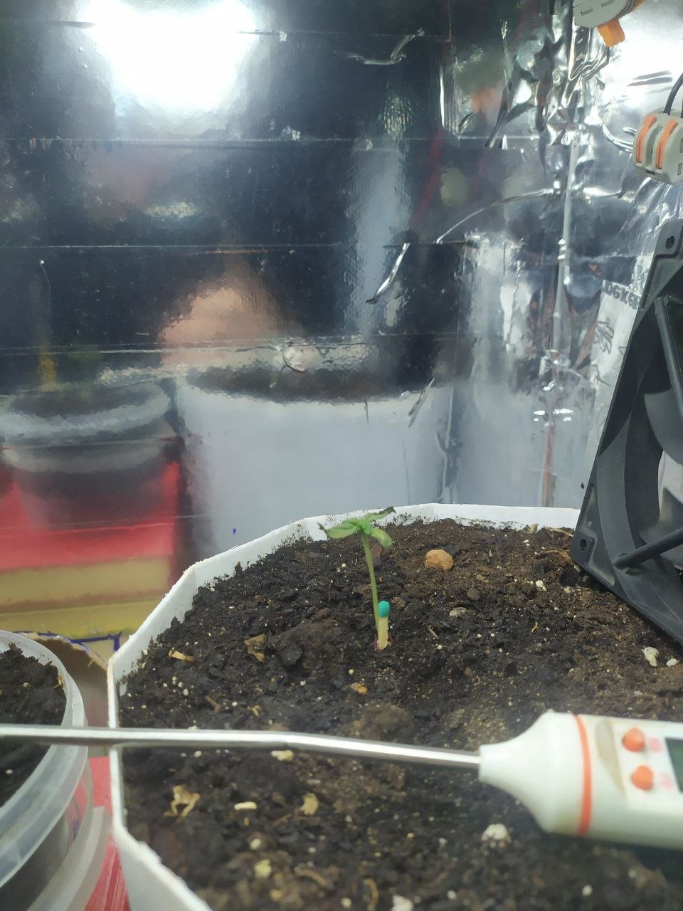 photo_2023-02-10_20-48-14 (2).jpg