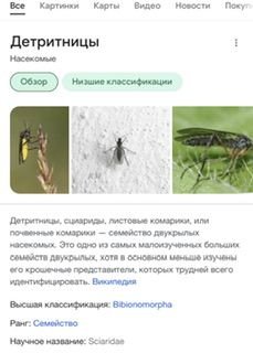 6795B0D5-71D8-4D4A-8E5C-A27184CE6580.jpeg