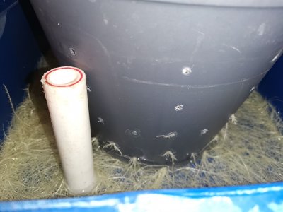 IMG_20230407_084524.jpg