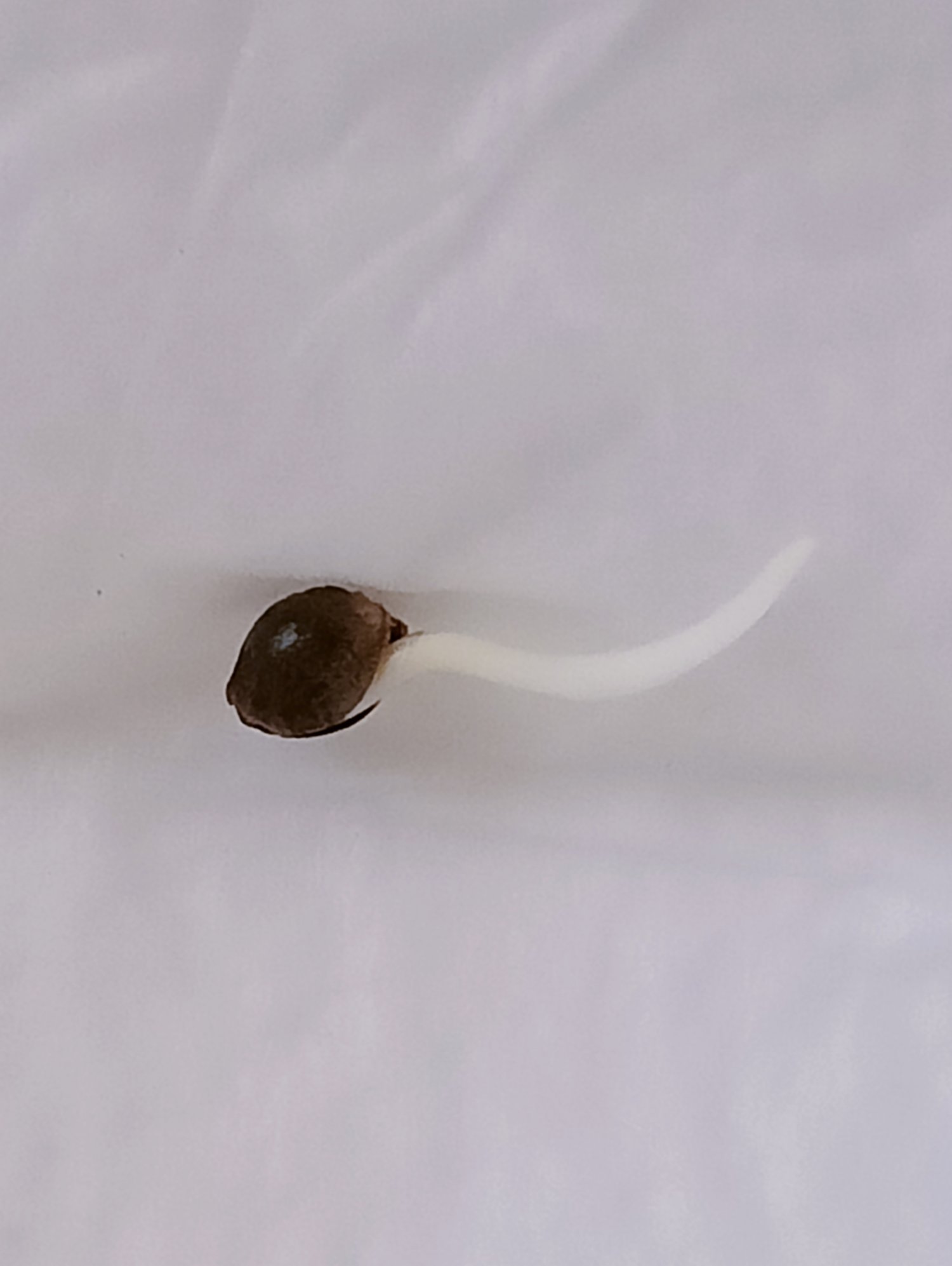 IMG20230512183544.jpg