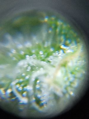 mir_20230531_100033.jpg
