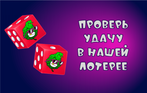 lottery2.png