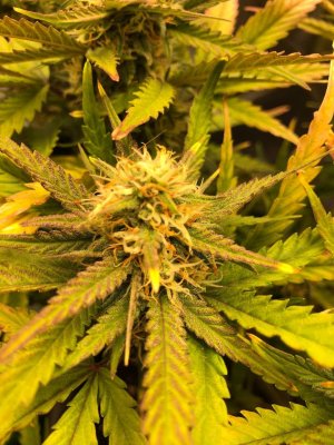 photo_2022-01-08_01-33-34 (2).jpg