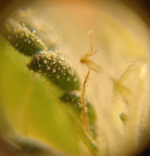 20230806_152939.jpg