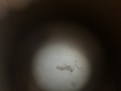 imgonline-com-ua-dexifUhkcHDtQIpKP.jpg imgonline-com-ua-dexifUhkcHDtQIpKP.jpg