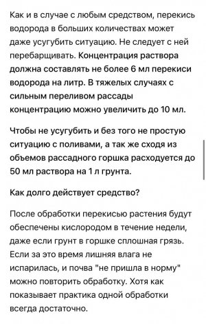 IMG_3913.jpeg