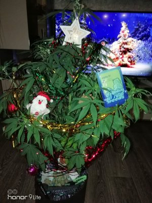 IMG_20231223_084646.jpg