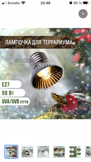 99BA6176-2821-4DFF-A355-B75E8BD59B07.png