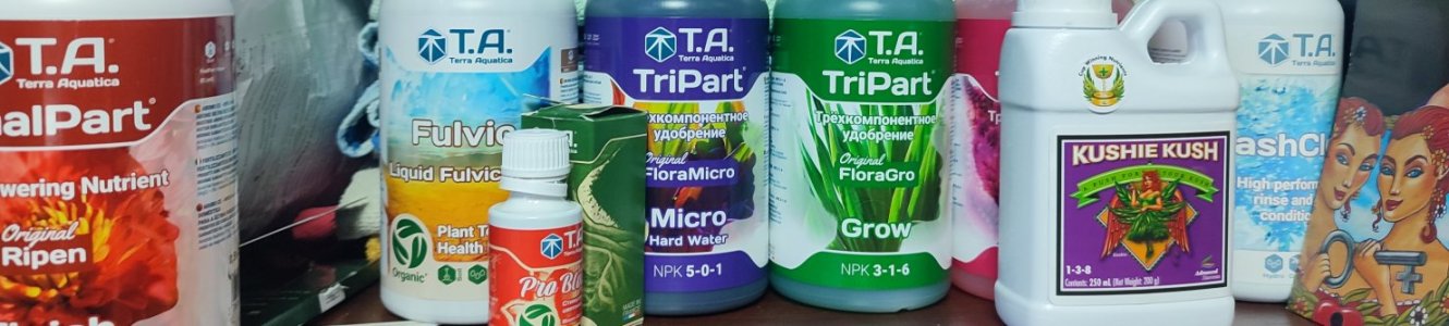 IMG_20240213_153131.jpg IMG_20240213_153131.jpg