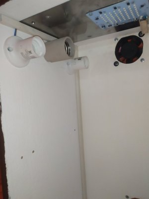 IMG_20240218_180128.jpg