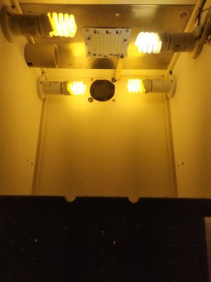 IMG_20240218_181855.jpg
