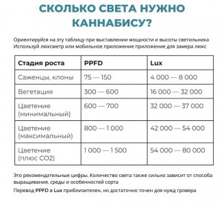 IMG_9175.jpeg
