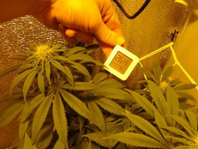 DSC00002.jpg DSC00002.jpg