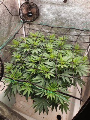 20240226_183743.jpg 20240226_183743.jpg