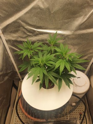 20240316_085544.jpg 20240316_085544.jpg