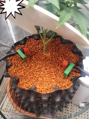 20240316_085551.jpg 20240316_085551.jpg