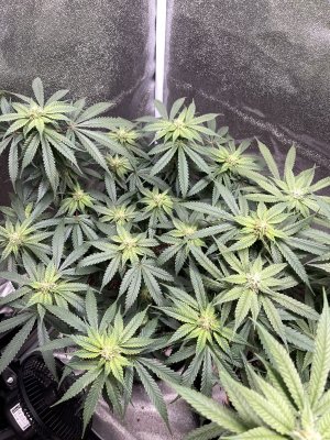 IMG_3863.jpeg