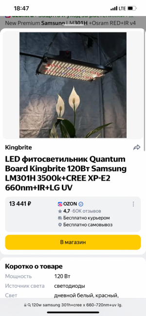 IMG_8737.png