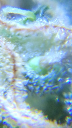 DA82F20B-74A4-4DC5-8D5C-943746F92779.jpeg