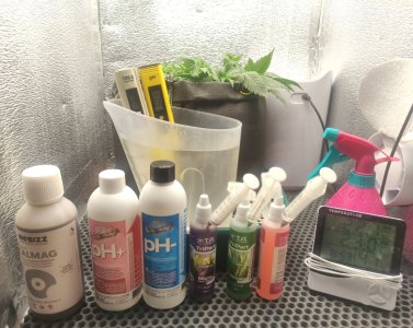 cleaned_IMG20240324210529.jpg