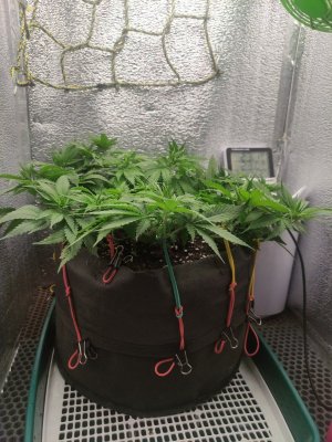 cleaned_IMG20240405094241.jpg