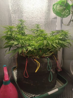 cleaned_IMG20240420211119.jpg