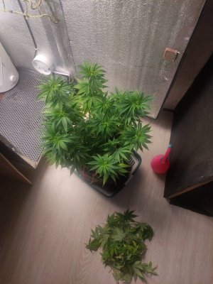 cleaned_IMG20240501012333.jpg