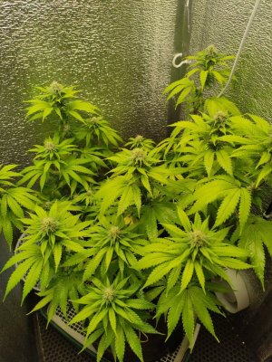 cleaned_IMG20240522014118.jpg