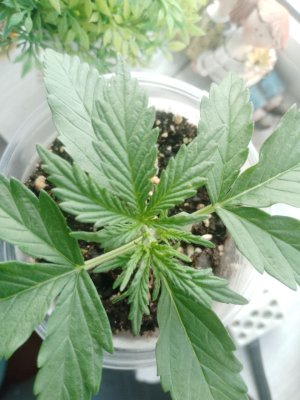 photo_2_2024-08-28_17-29-50.jpg photo_2_2024-08-28_17-29-50.jpg